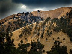 CALIFORNIA Springville